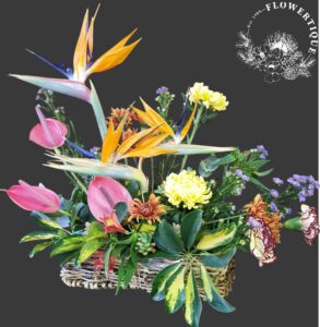 20190908 212658 photoroom