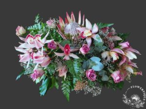 20210916 105906 photoroom