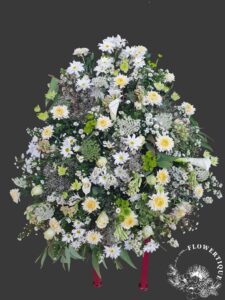 20210930 130116 photoroom