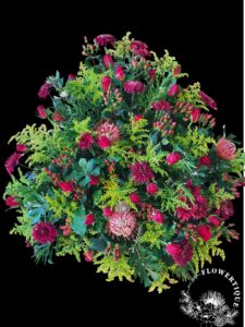 20211104 142131 photoroom