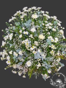 20211221 102124 photoroom