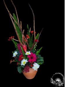 20220120 134309 photoroom