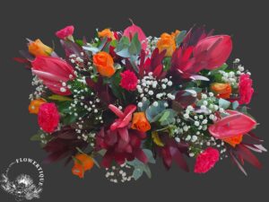 20220127 104909 photoroom