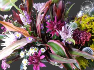 img 20210225 wa0012 photoroom