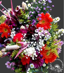 img 20210727 wa0010 photoroom